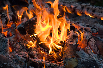 Image showing campfire