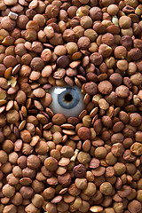 Image showing eye and lentil