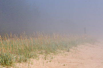 Image showing foggy beach