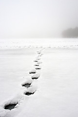 Image showing walking on water