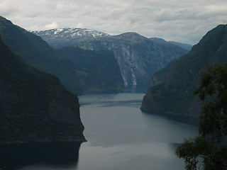 Image showing Norwegian beauty