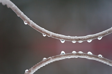 Image showing raindrops