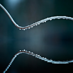 Image showing raindrops on wire