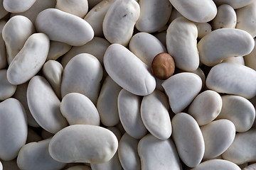 Image showing beans