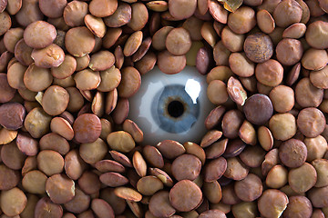 Image showing eye and lentil