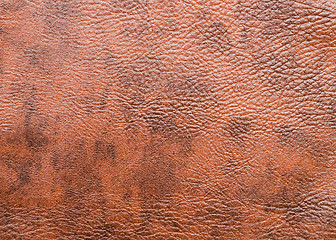 Image showing leather background