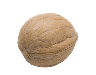 Image showing nut