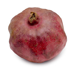 Image showing pomegranate