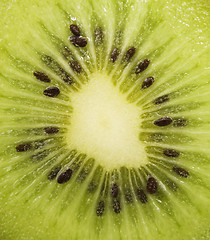 Image showing kiwi