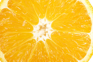 Image showing slice of orange