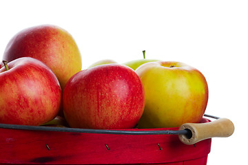Image showing Apple Basket