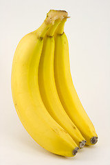 Image showing Bunch of bananas on light background