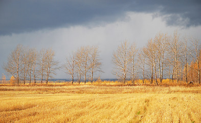 Image showing autumn