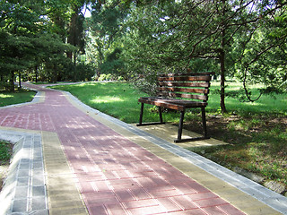 Image showing bench