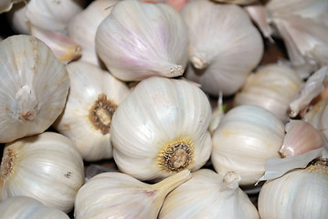 Image showing Garlic Bulbs