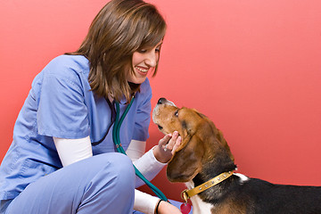 Image showing Vet Checkup