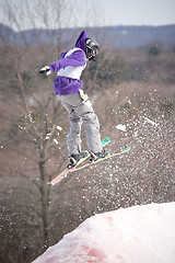 Image showing Ski Jumper