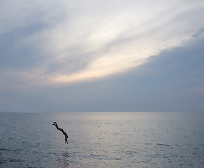 Image showing diving man