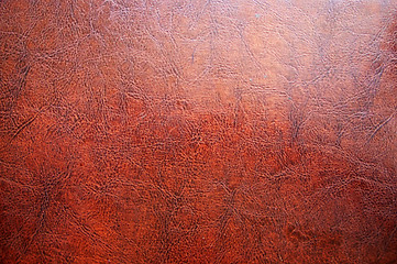 Image showing leather