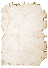 Image showing old wet paper