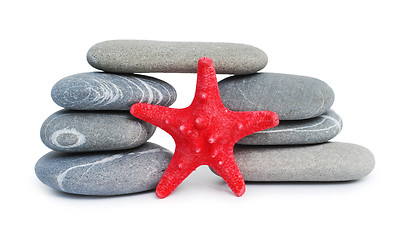Image showing pebble bridge and starfish