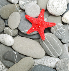 Image showing pebbles and starfish