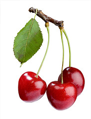 Image showing cherries