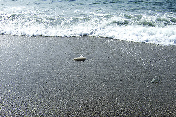 Image showing sea shore