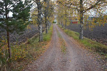 Image showing rural beautiful road
