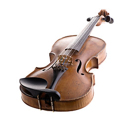 Image showing violin