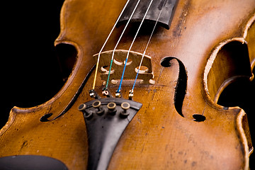 Image showing violin
