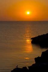 Image showing sunset seascape
