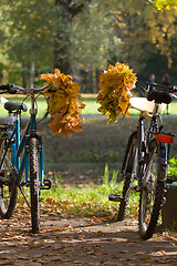 Image showing fall couple of bicycles