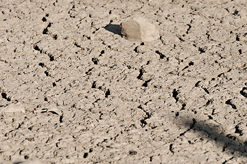 Image showing drought