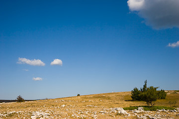 Image showing hot landscape
