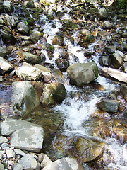 Image showing stream