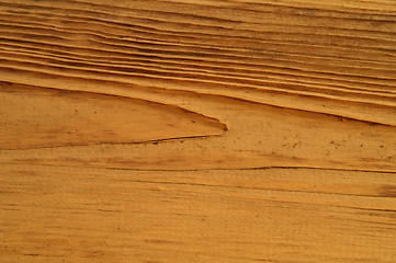 Image showing Wood texture 1