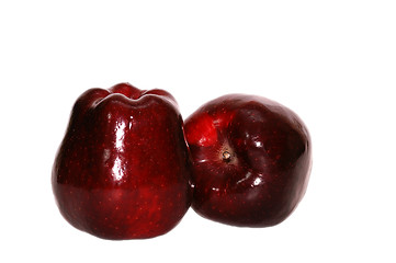 Image showing Two red apples
