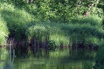 Image showing Litttle creek