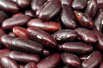 Image showing Dark red kidney beans