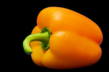 Image showing Paprika