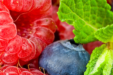 Image showing Blueberry and rasperry with mint leaves