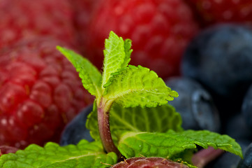 Image showing Blueberry, ruspberry and mint leaves