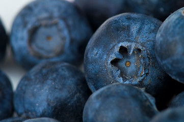 Image showing Blueberry 
