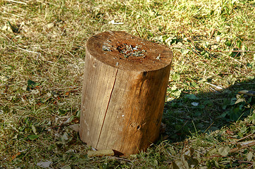 Image showing Wooden block