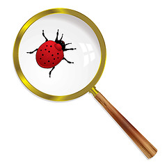 Image showing magnify ladybird