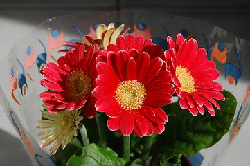 Image showing red flowers