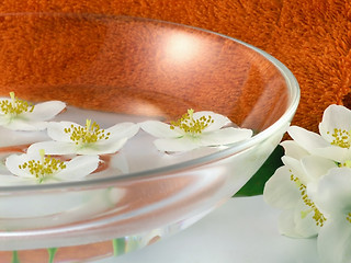 Image showing series flowers: branch of fresh jasmine