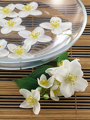 Image showing series flowers: branch of fresh jasmine