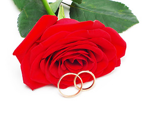 Image showing rose and wedding rings